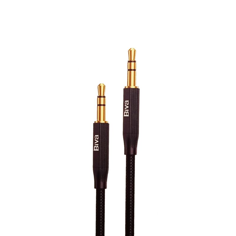 Biva AUX-01