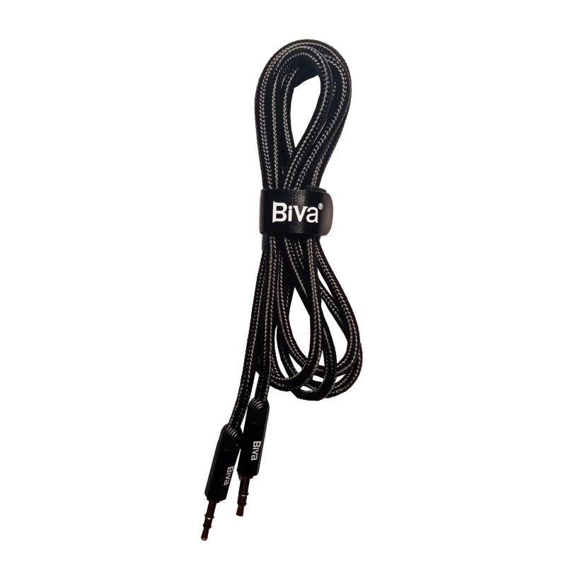 Biva AUX-01