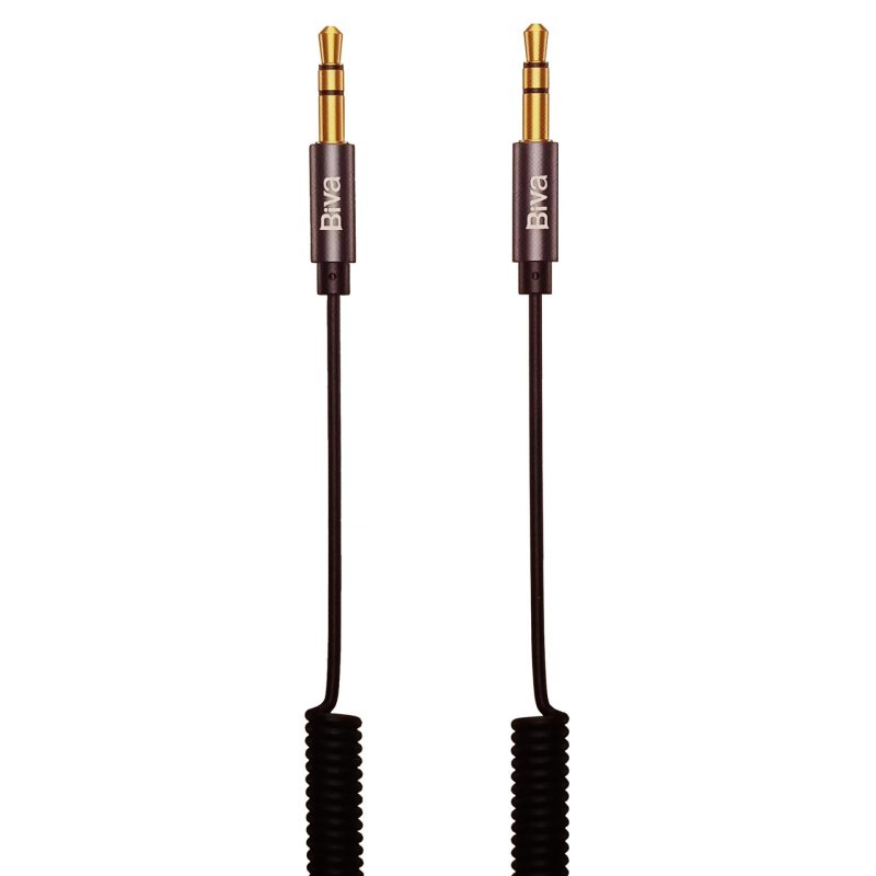 BIVA-AUX-03