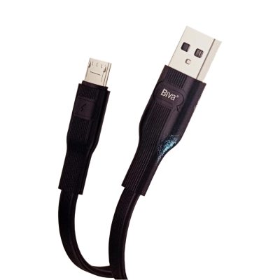 Biva-C-01v